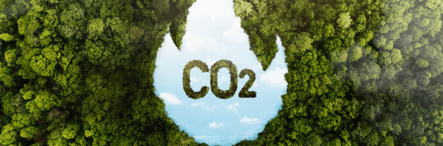 Carbon Emissions Avoided through Recycling