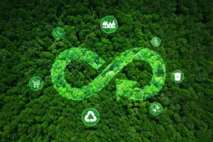 sustainable waste management and circular economy in India with recycling